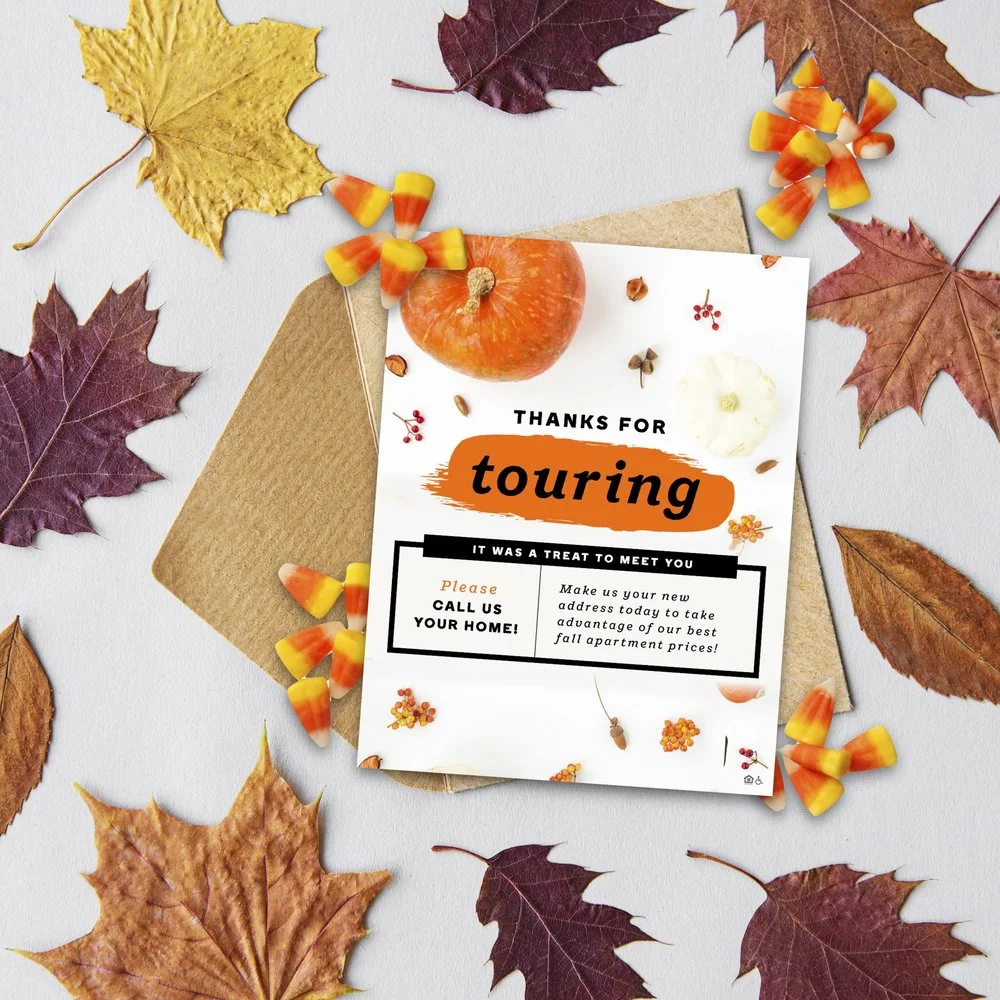 FOLLOW UP FRIDAY: FALL SEASON