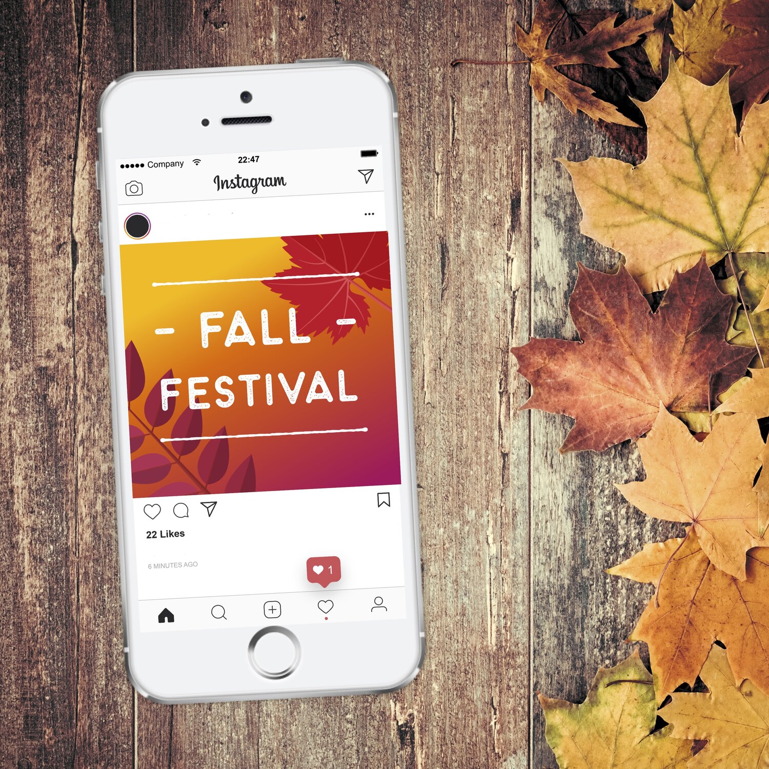 EVENT: FALL FESTIVAL