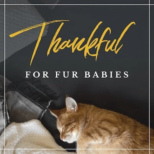 IG5996-Pumpkin+Spice+FC+Thankful+For+Fur+Babies+Digital+Graphics.jpg