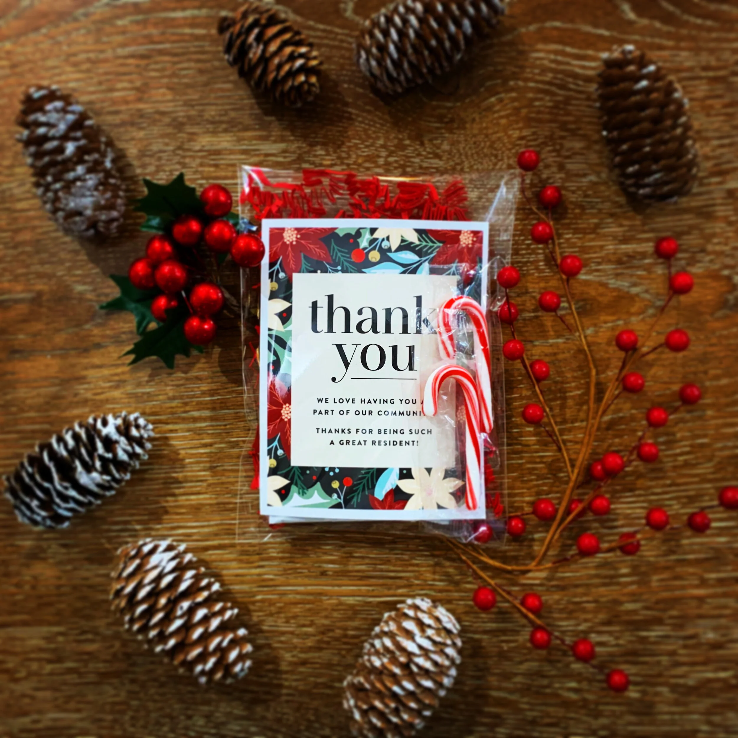 RESIDENT APPRECIATION- THANKFUL FOR RESIDENT LIKE YOU BUNDLES 