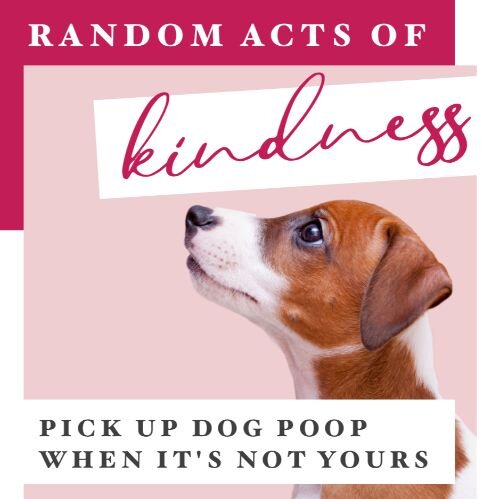IG6375-Random Acts Kindness Dog Digital Graphic.jpg
