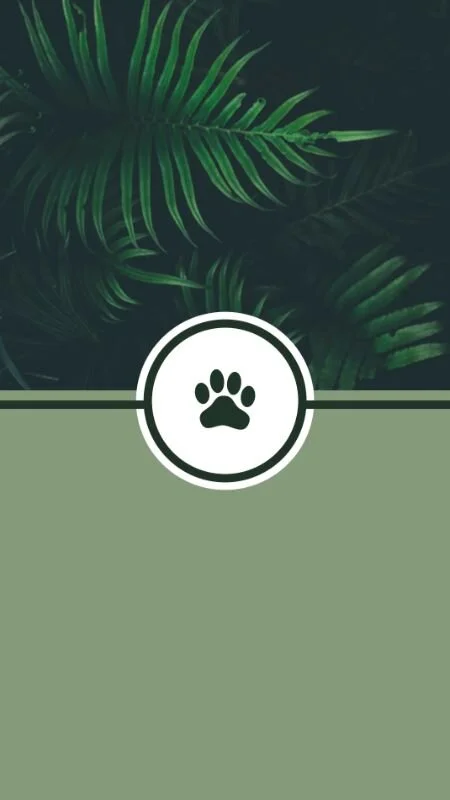 IGS425-IGStory Highlights Lush Pet.jpg