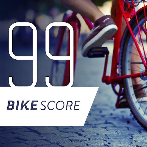 IG6425-Bike Score Evergreen Digital Graphic.jpg