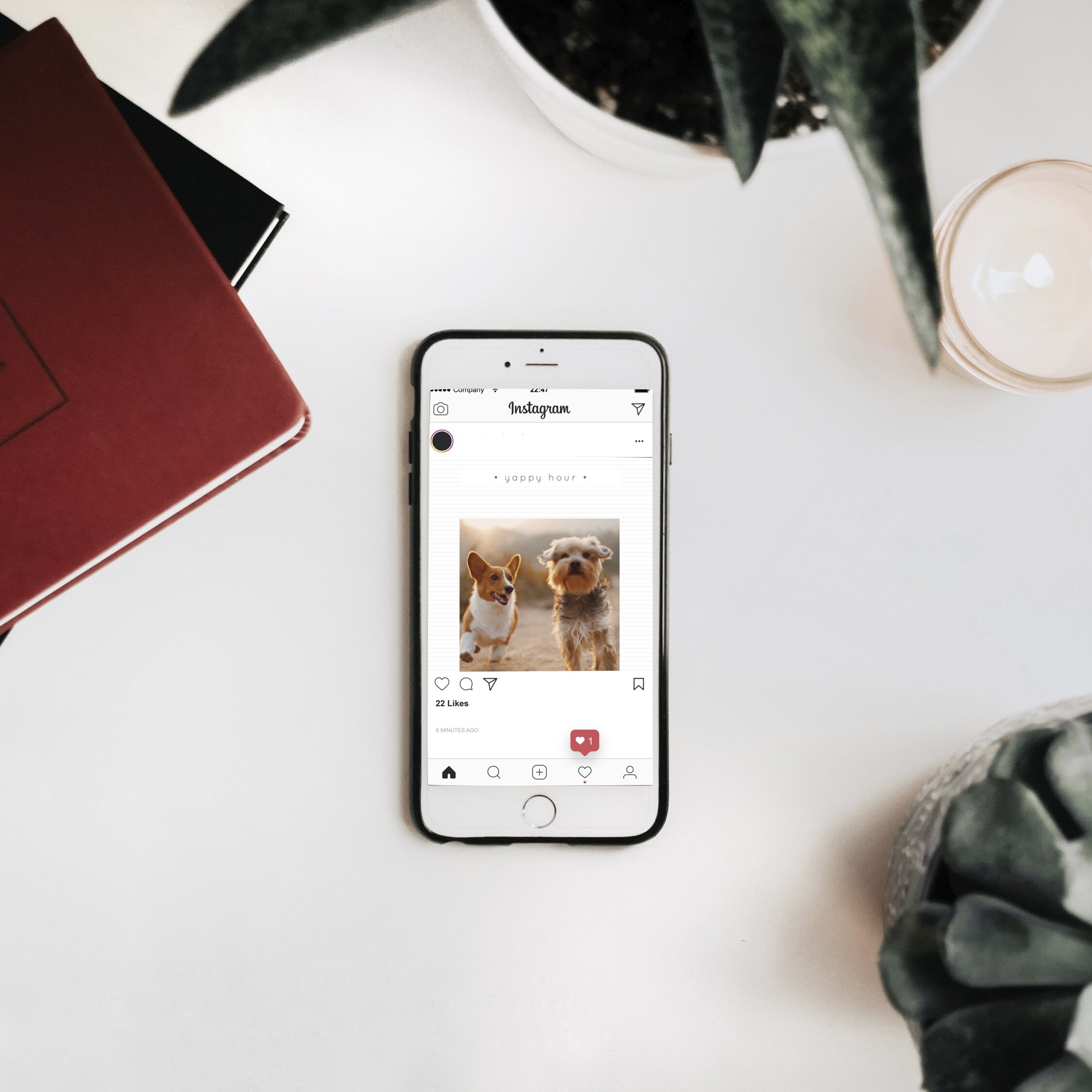 (#581) PET-FRIENDLY DIGITAL CAMPAIGN