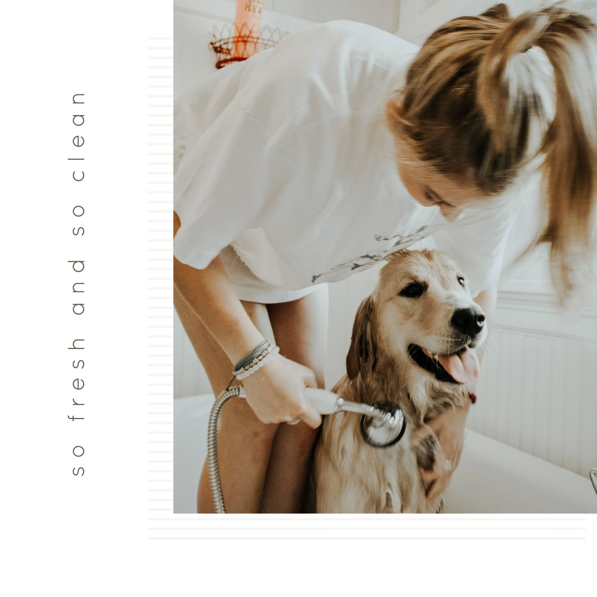 IG6450-Pet Fresh and Clean Digital Graphic.jpg