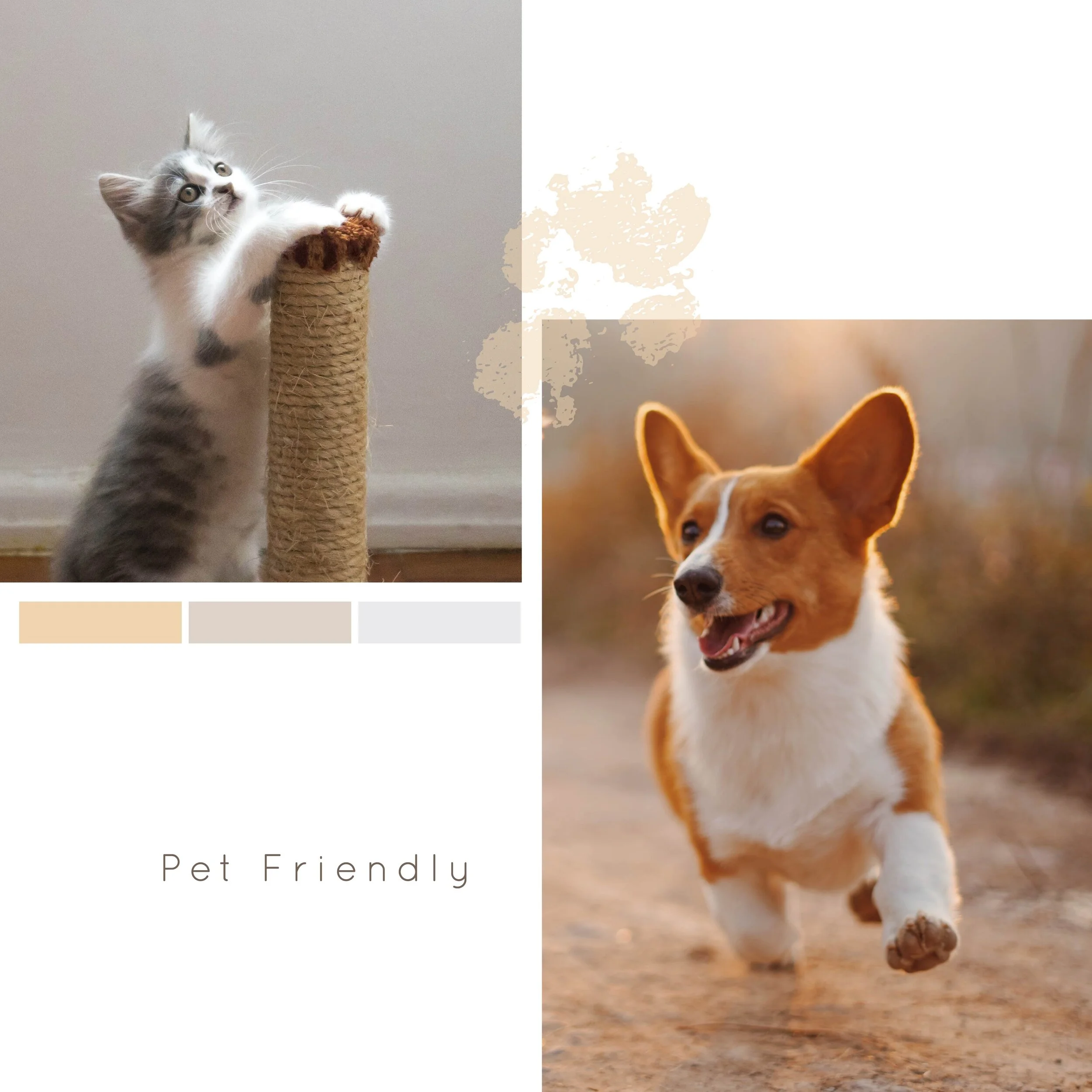 IG6451-Pet Friendly Digital Graphic.jpg