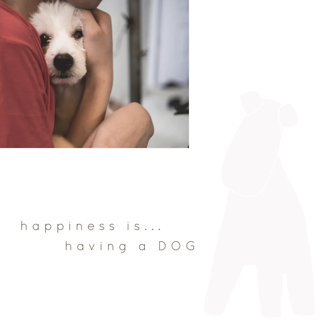 IG6452-Pet Happiness Digital Graphic.jpg