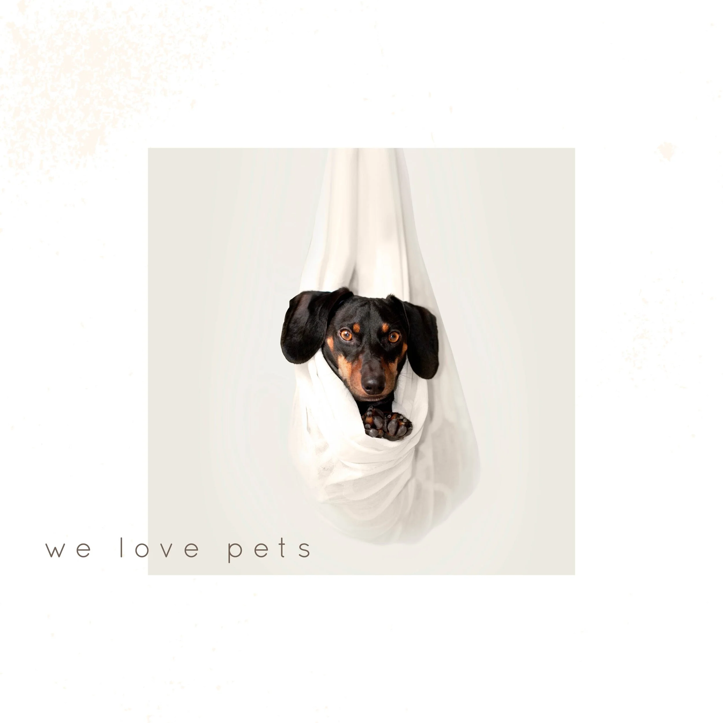 IG6454-Pet Love Digital Graphic.jpg