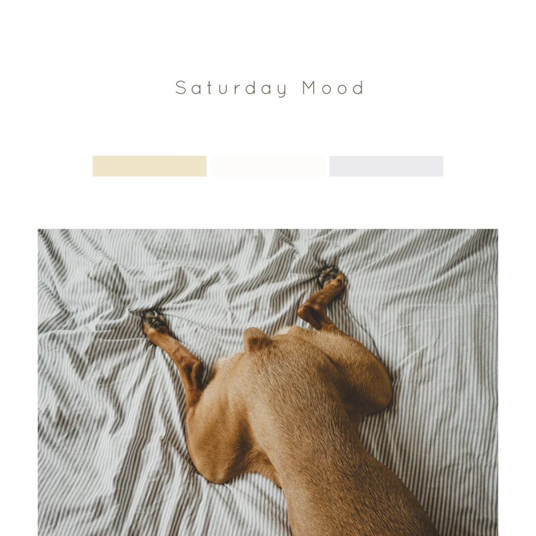 IG6456-Pet Saturday Mood Digital Graphic.jpg