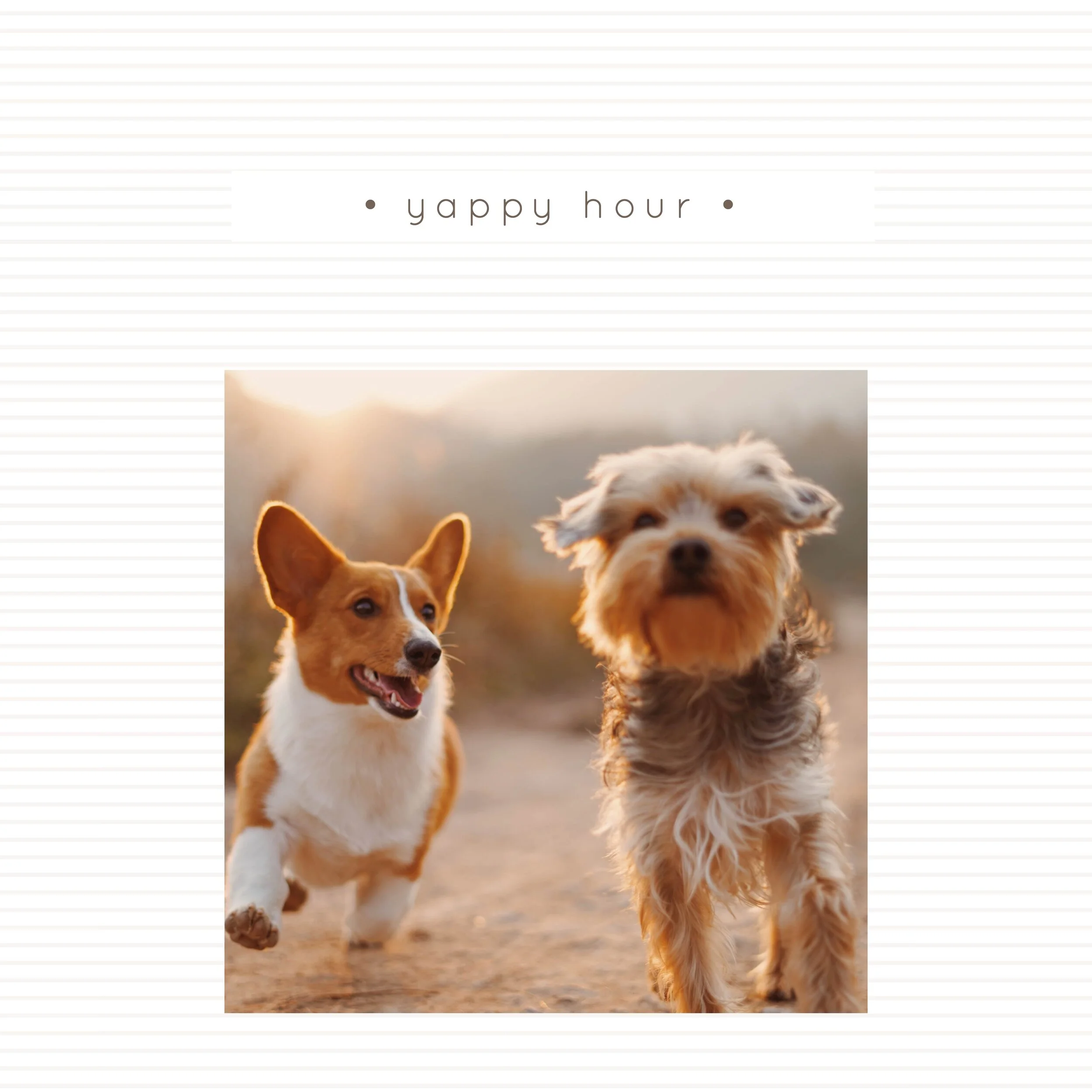 IG6461-Pet Yappy Hour Digital Graphic.jpg
