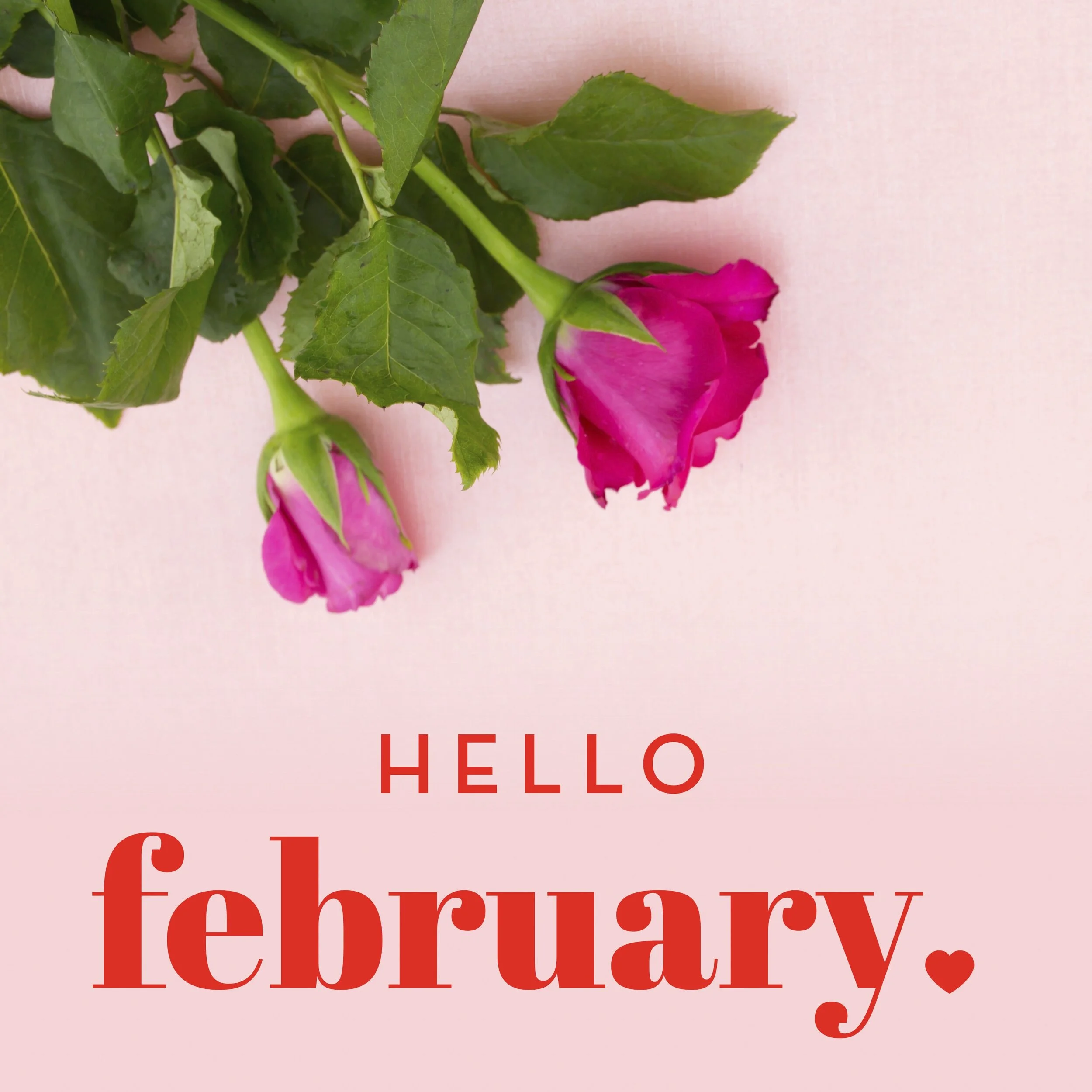 Lovely FC February Digital Graphic.jpg