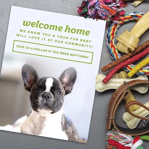 (#420) PET WELCOME