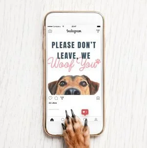 IG4507-APR19+Pet+Renewal+Mock+Digital+Graphic.png