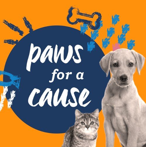 IG3650-All+Pets+FC+Pet+Charity+Digital+Graphic.png