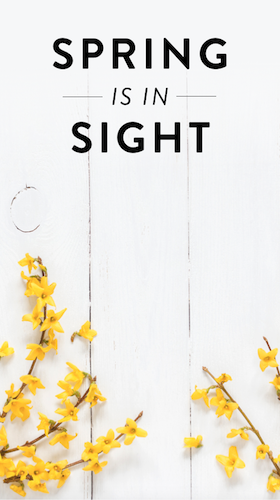 IGS460-IGStory Spring in Sight Outreach Background.png