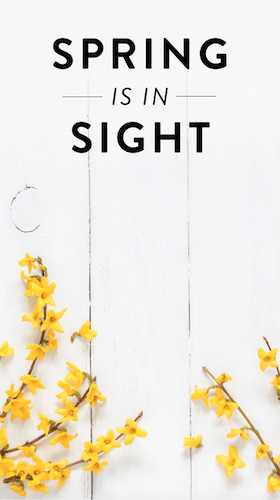 IGS460-IGStory+Spring+in+Sight+Outreach+Background.png