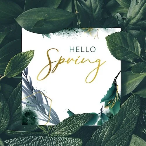 (#263) DIGITAL: SPRING UPDATE FOR YOUR SOCIAL