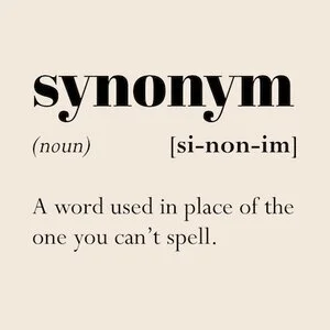 IG6615-Funny+Synonym+Digital+Graphic.jpg