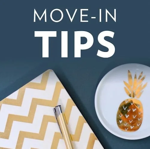 IG6632-Spring Break FC Move In Tips Digital Graphic.jpg