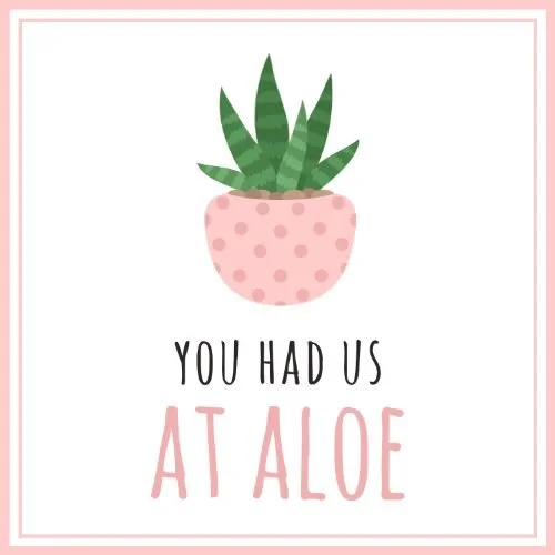 IG5505-Pun+FC+Aloe+Welcome+Digital+Graphic.png