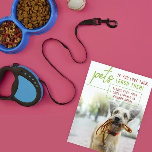 (#429) PETS: IF YOU LOVE 'EM, LEASH 'EM