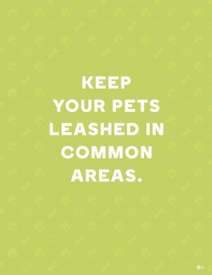 60102-Leash+Your+Pets.jpg