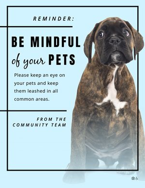 6828-Be+Mindful+Pets.png