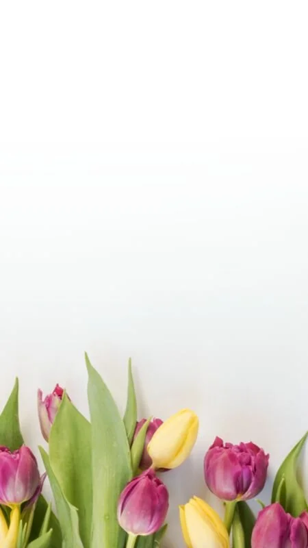 IGS455-IGStory Fresh Picked FC Background.jpg