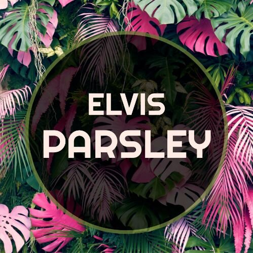 IG6864-Elvis Parsley Digital Graphic.jpg