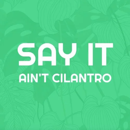 IG6863-Cilantro Digital Graphic.png