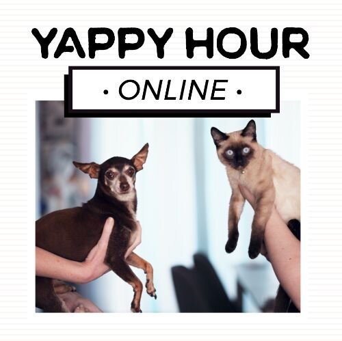 IG6950-Online Yappy Hour Digital Graphic.jpg