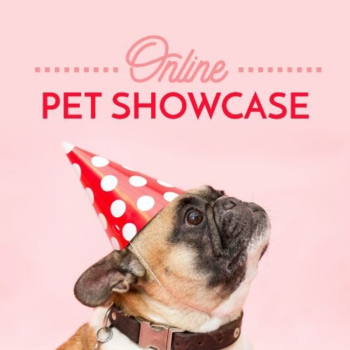 IG6952-Pet Showcase Digital Graphic.jpg