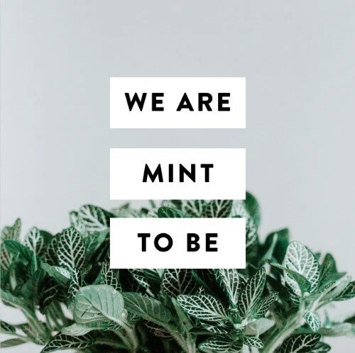 IG4298-Mint+to+Be+Digital+Graphic.jpg