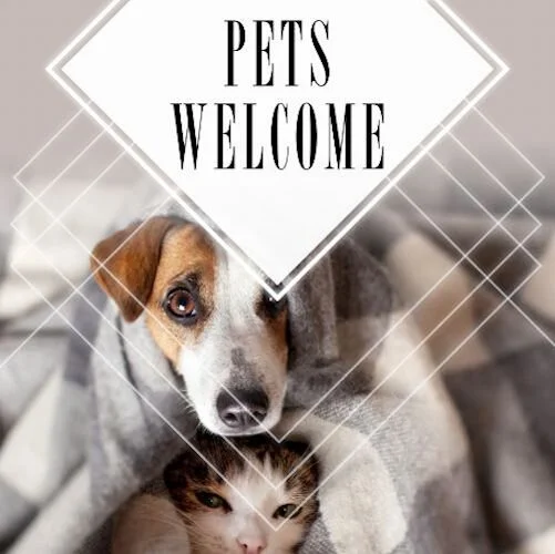 IG6898-Fresh Spring FC Pet Outreach Digital Graphic.jpg
