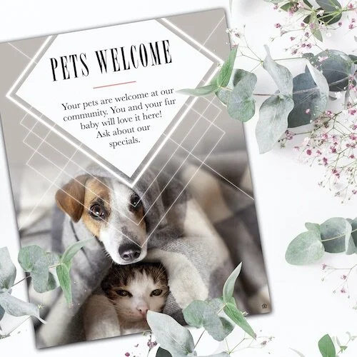 IG6900-Fresh Spring FC Pet Outreach Digital Graphic Mock.jpg