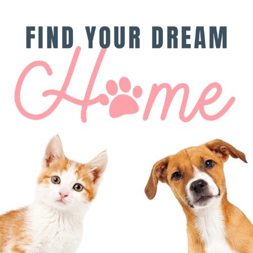 IG4508-Pet+Dream+Home+Digital+Graphic.jpg
