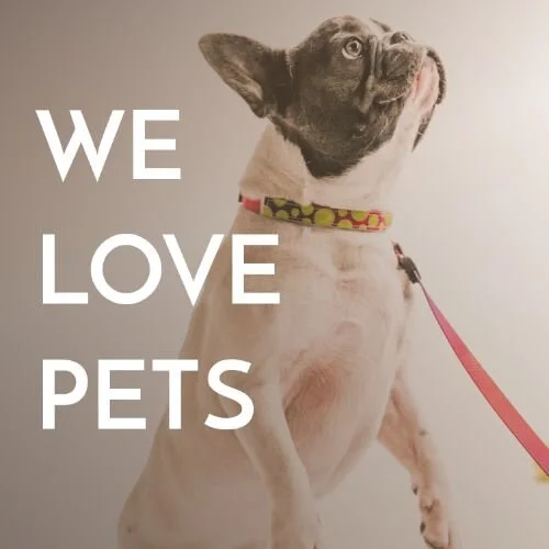 IG4989-Good+Dog+Notice+Digital+Graphic.jpg