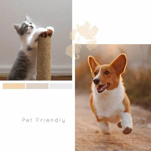 IG6451-Pet+Friendly+Digital+Graphic.jpg
