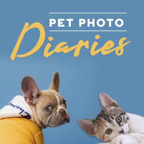 IG7156-Pet Photo Diaries Digital Graphic.png