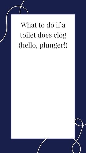 IGS573-IGStory Toilet Tips Clog.jpg