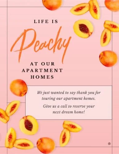 61213-Peachy+Follow+Up.jpg