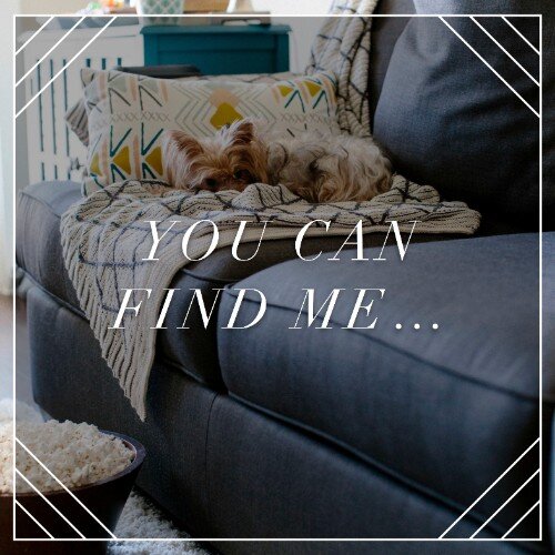 IG4055-Find+Me+Dog+Couch+Digital+Graphic.jpg