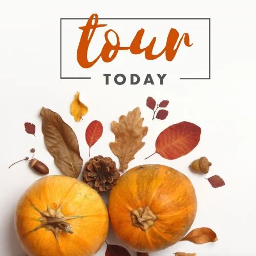 IG5809-Pumpkin Tour Today Digital Graphic.jpg