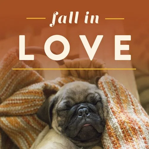 IG7504-Fall In Love Digital Graphic.jpg