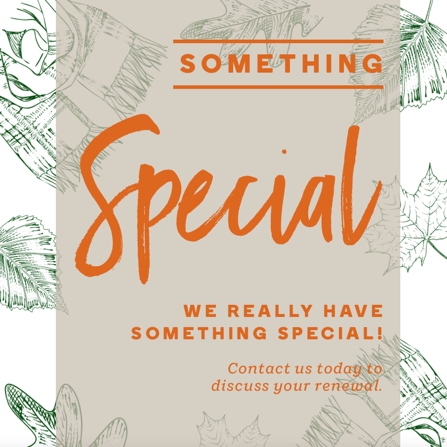 IG6568-Something Special Orange Digital Graphic.png