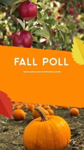 IGS359-IGStory+Fall+Fest+FC+Fall+Poll+Pumpkin+Apple.png