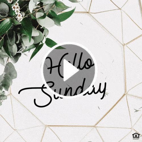 VD1078 - Sunday.gif