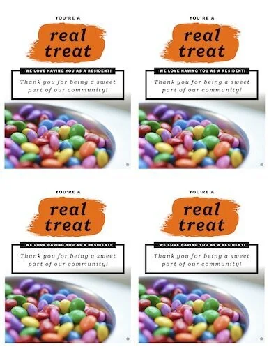 62184-Treat+FC+Renew+4.jpg