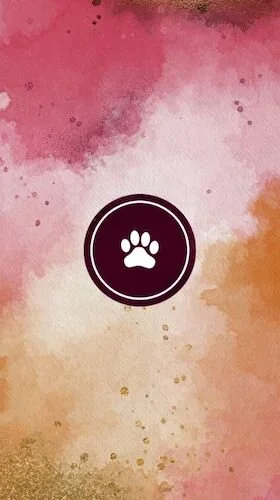 IGS642-IGStory Fall Vibes Pet Highlights.jpg
