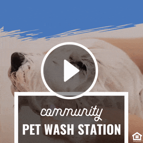 VD1062 - Amenity Feature Pet Wash.gif